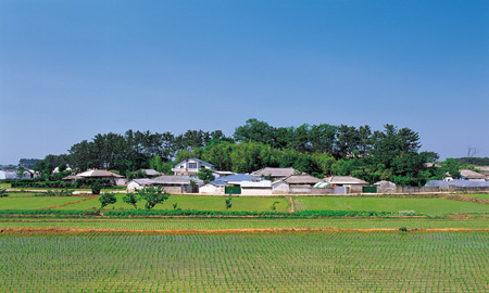08서산리